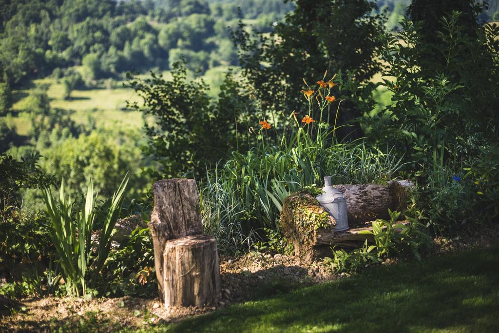 Bed and Breakfast Domaine De Terrac Rimont Exteriér fotografie